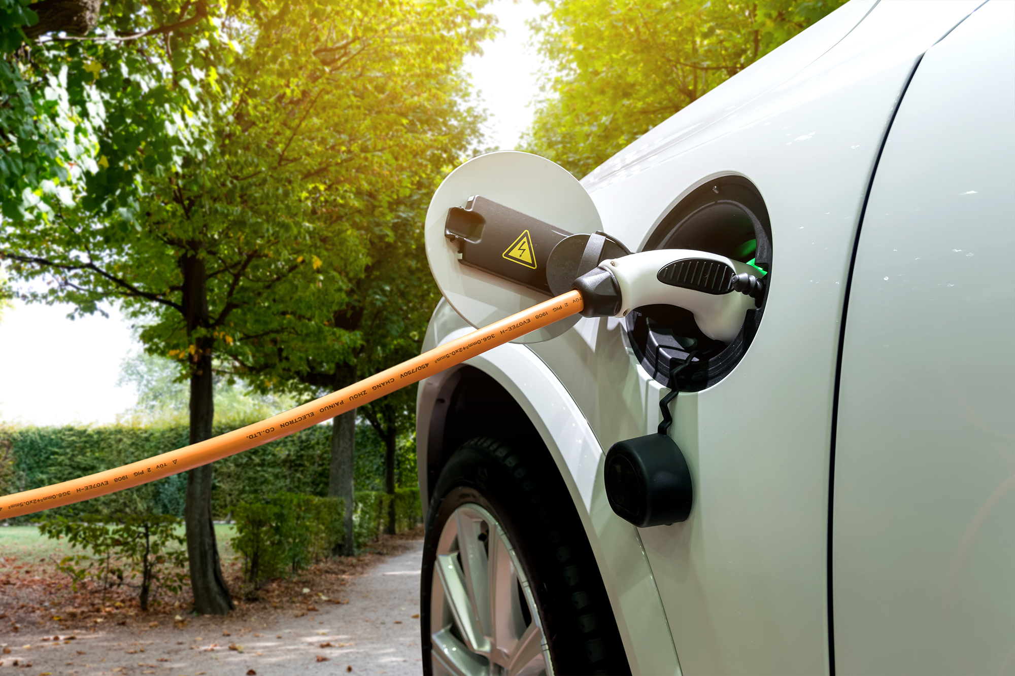 White electric vehicle charging with road and trees in the background
